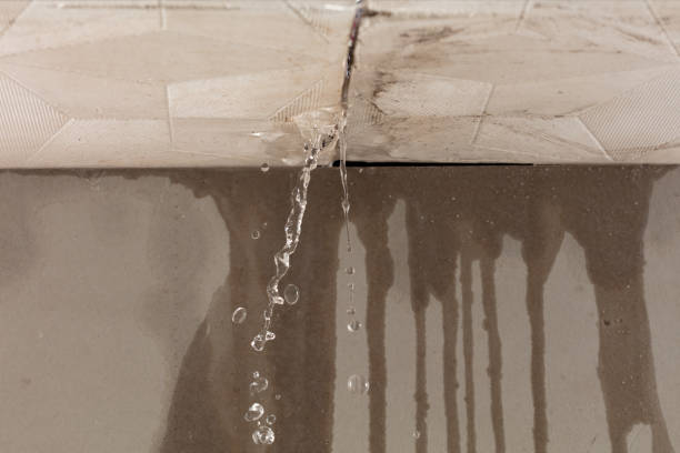 Professional Water Damage Inspection technician working in Geneva, FL